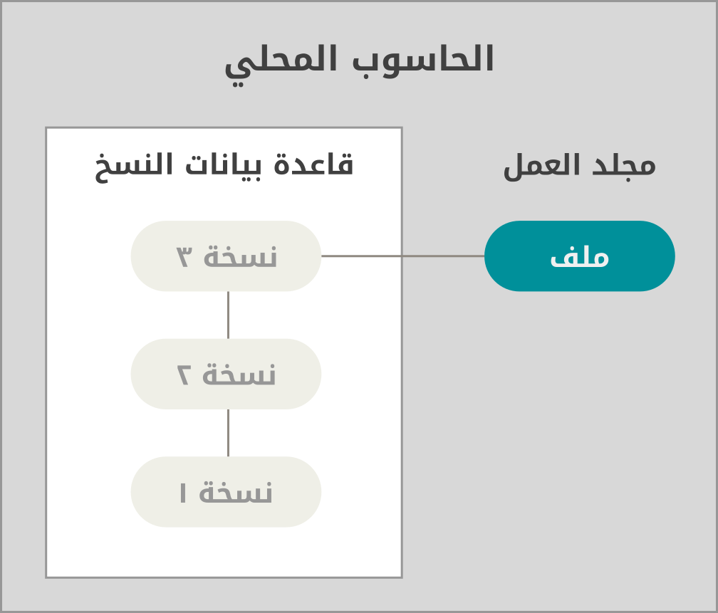 رسم توضيحي للإدارة المحلية للنسخ